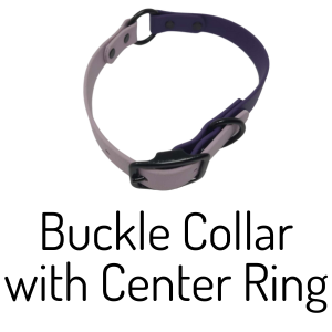 Buckle Collar with Center Ring